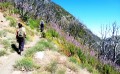 San Gabriel Peak Trail