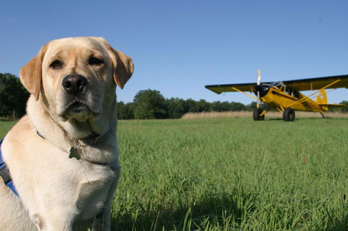 On a grass strip in New Jersey next to a Husky with bush wheels