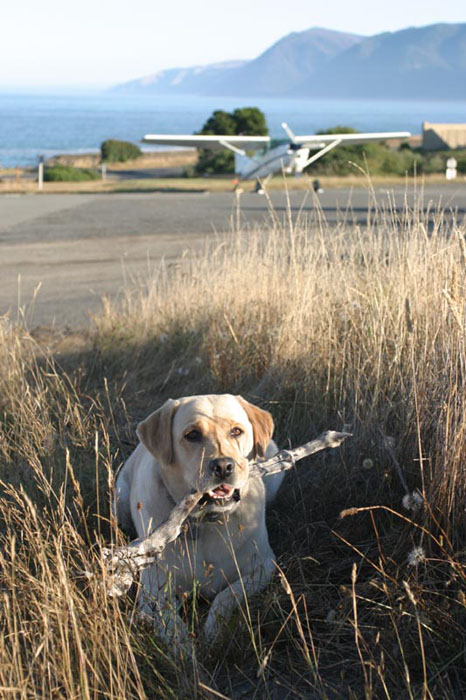 Playing near the 185 in Shelter Cove, CA