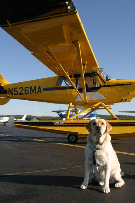 Great... they all go inside for coffee and leave me to guard the plane!